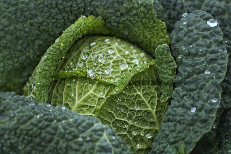 Kale Chips